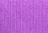 Violette Pens&eacute;e